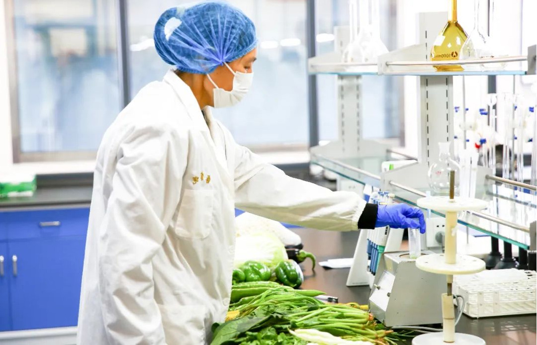 品质见证团走进工厂 一场透明之旅，深度解读农药产品的放心选择