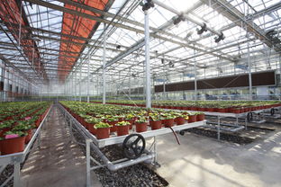首个中国植物工厂投产 引领无农药农业新时代